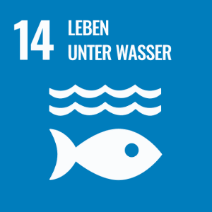Nachhaltigkeitsziel 14 - Leben unter Wasser