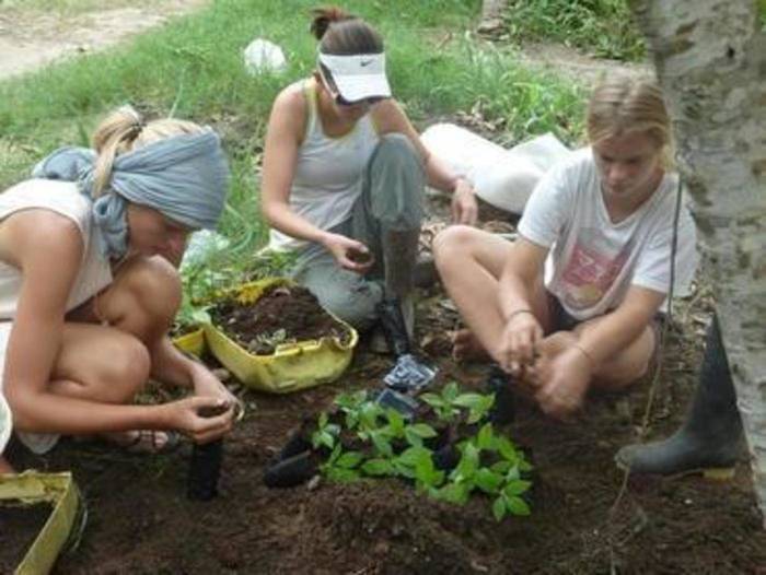 Volunteers auf der ökologischen Farm in Ecuador