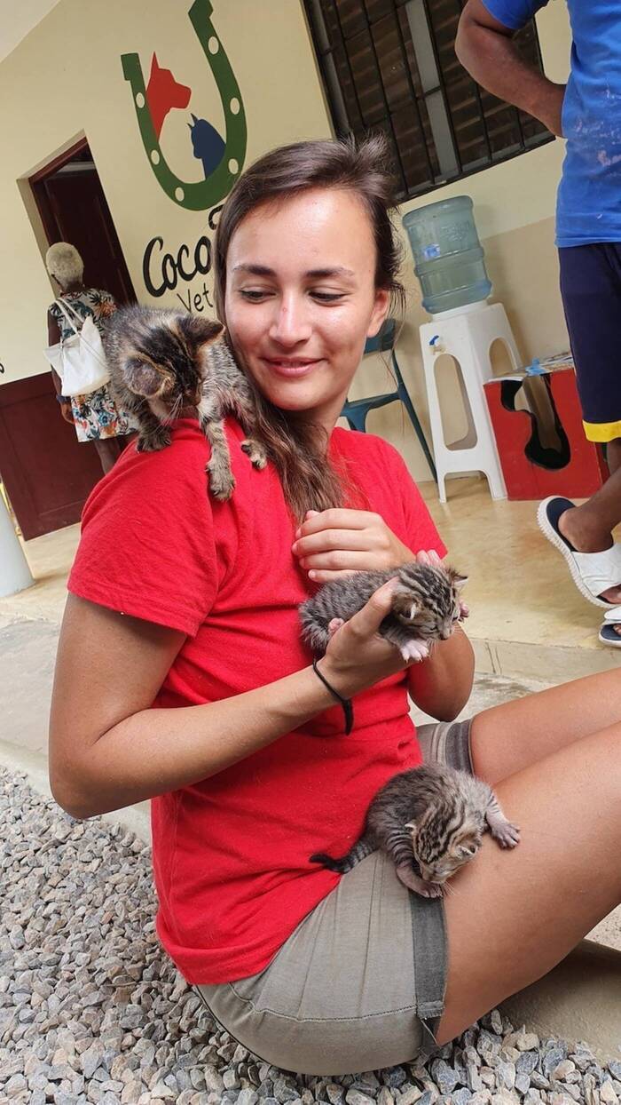 Volunteer mit Katzen in einem Tierheim im Ausland