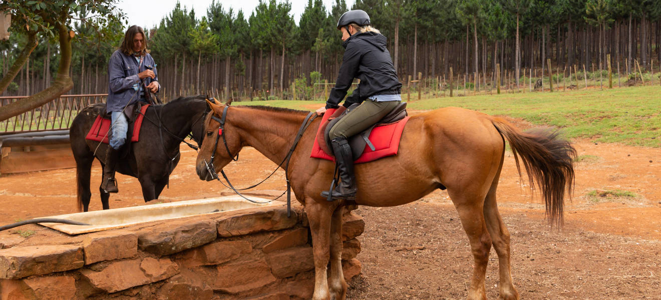 Orientierung auf der Pferdefarm in Südafrika