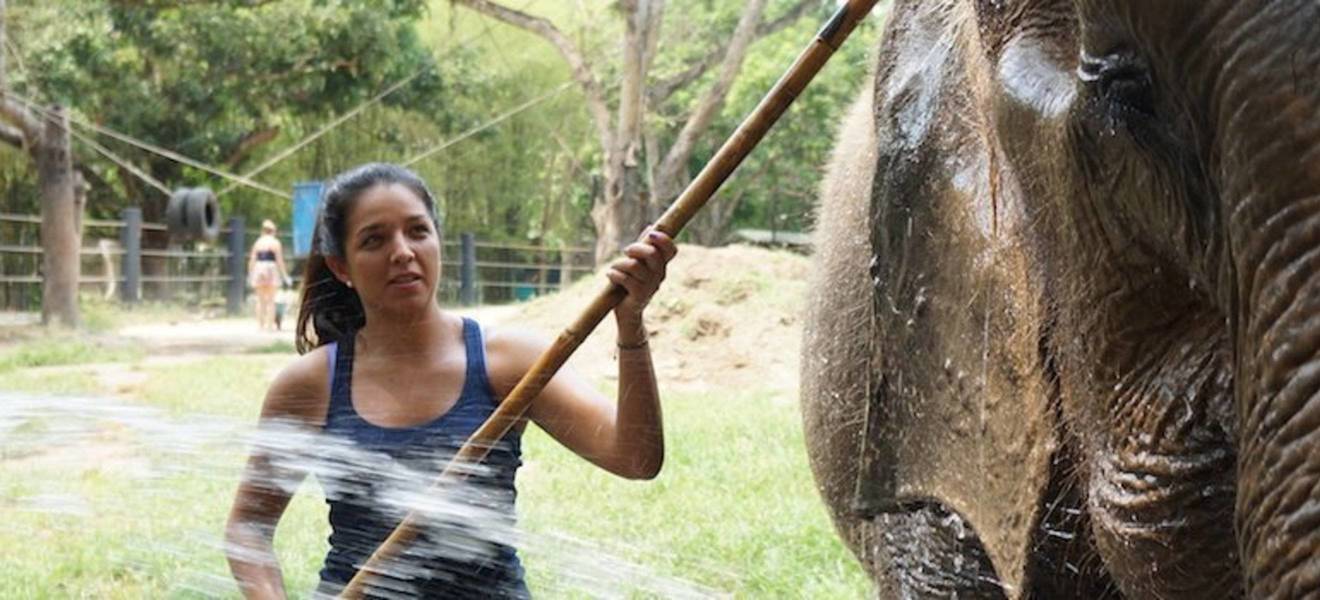 Freiwilligenarbeit mit Elefanten in Thailand - Schutz für Dickhäuter