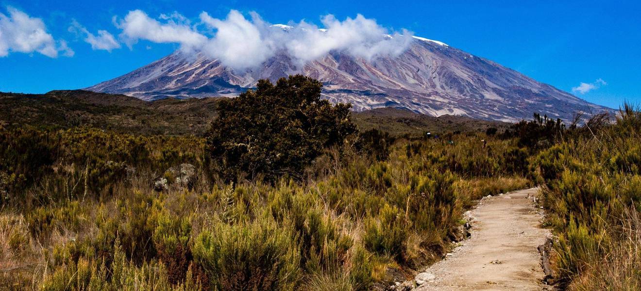Wanderung zum Kilimanjaro