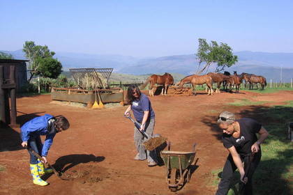 Workcamp Pferde Südafrika