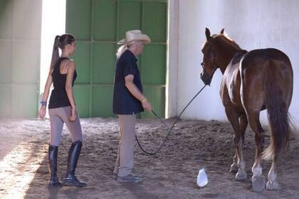 Volunteers lernen die Pferde zu dressieren