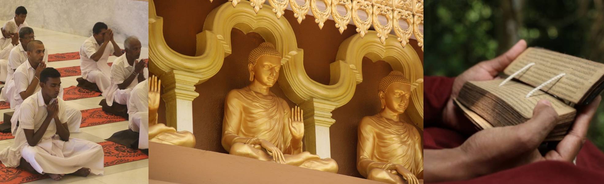 Freiwilligenarbeit im Kloster auf Sri Lanka