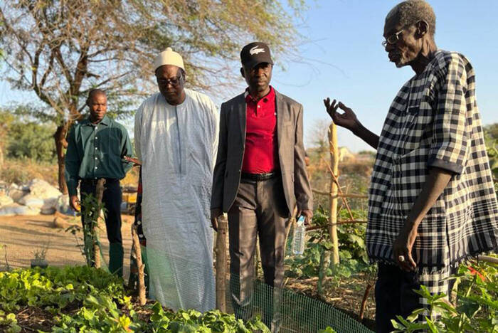 Ökologische Landwirtschaft im Senegal