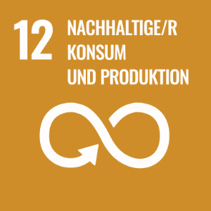 Nachhaltigkeitsziel 12 - Nachhaltige/r Konsum und Produktion