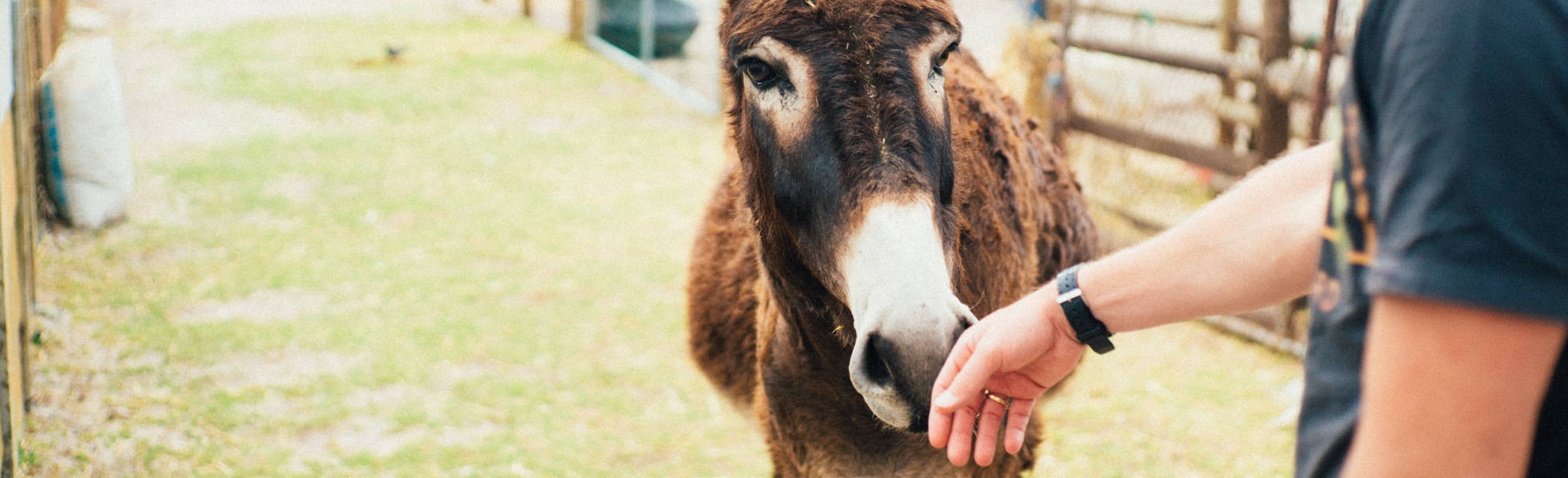 Freiwilligenarbeit Südafrika