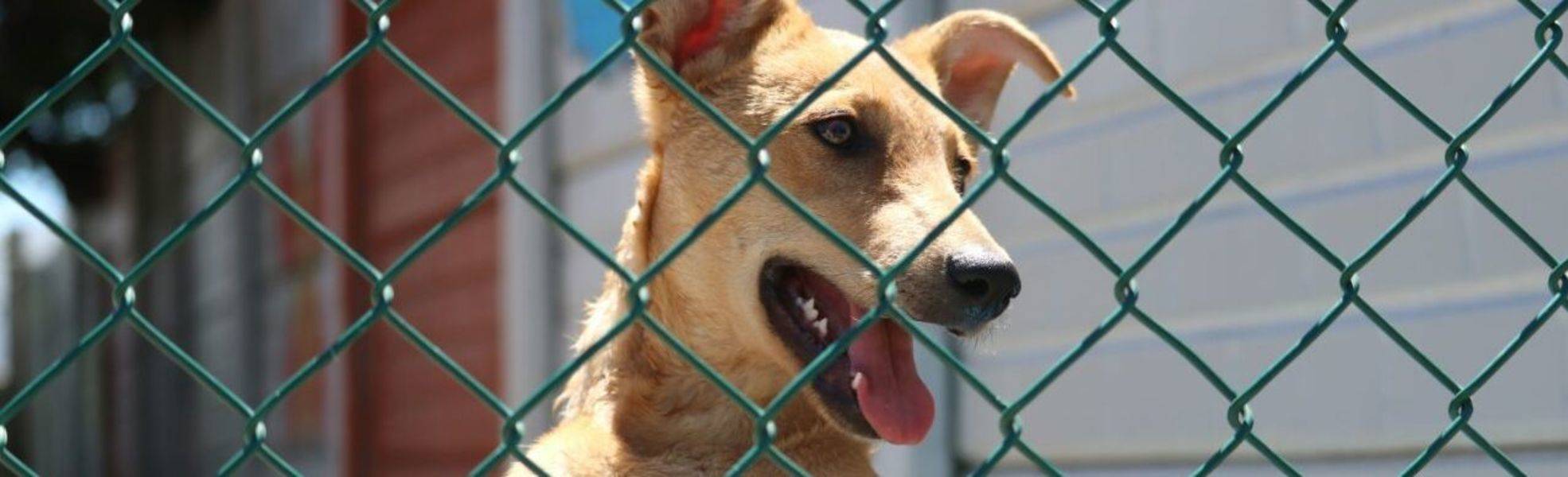 Freiwilligenarbeit Südafrika