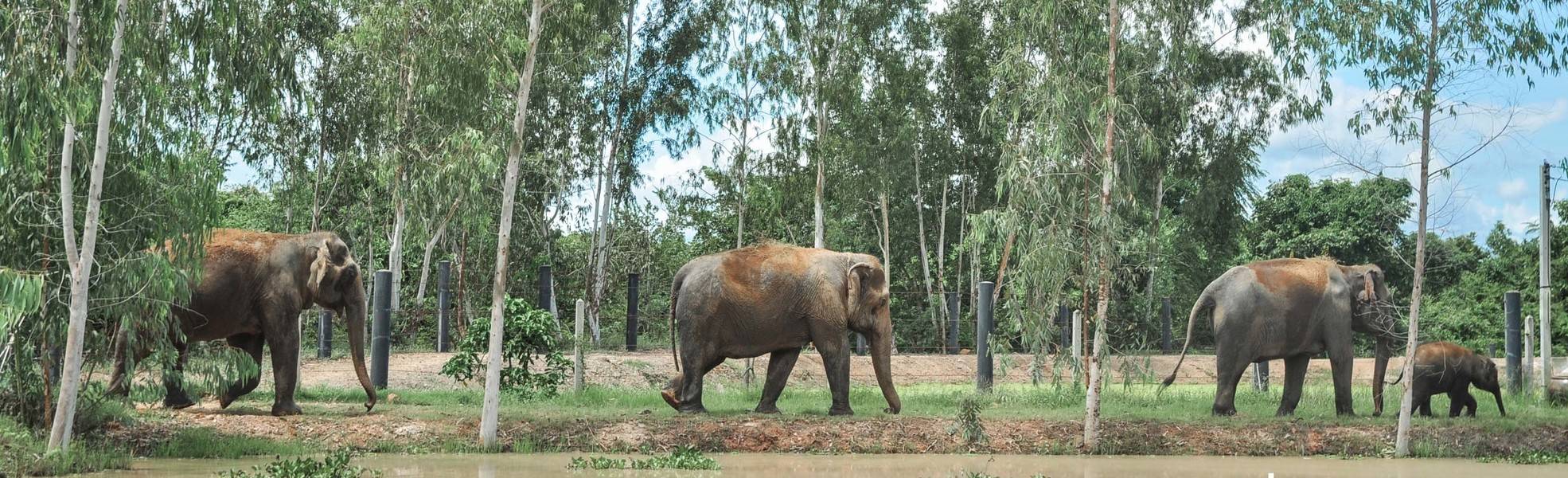 Freiwilligenarbeit Thailand