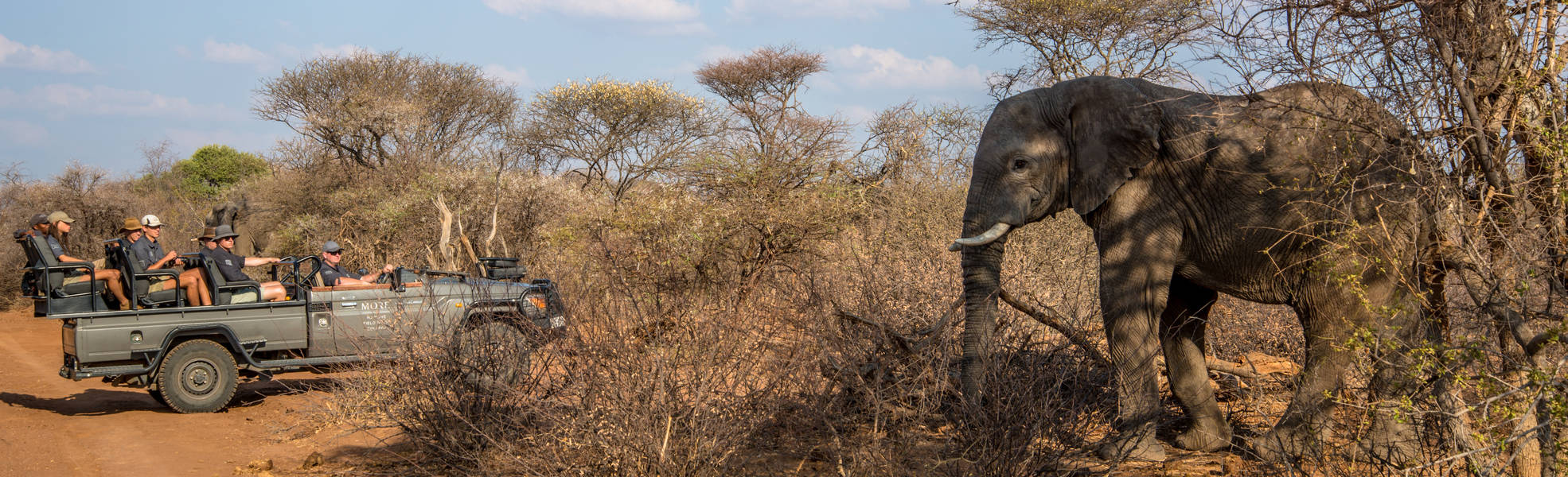 Freiwilligenarbeit Südafrika