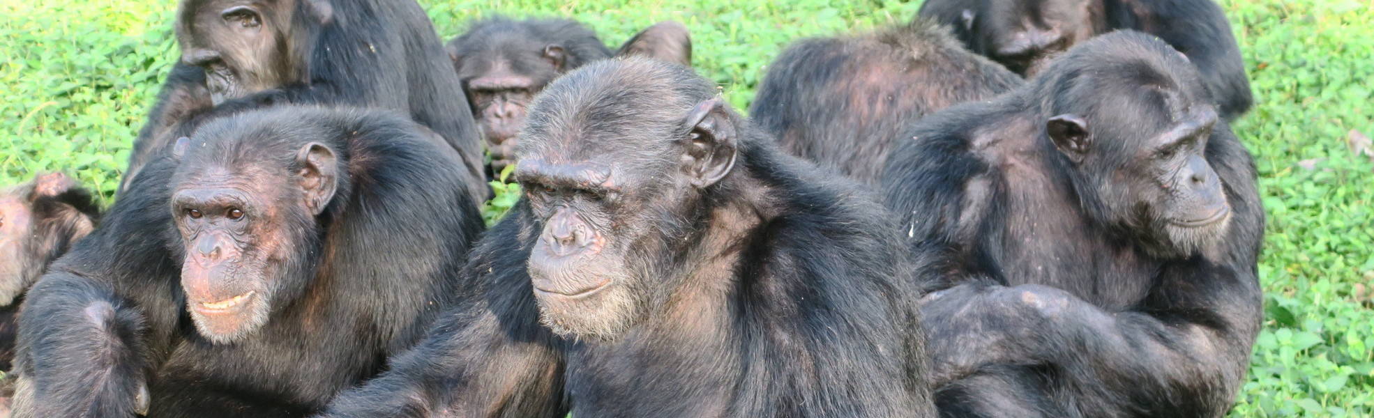 Freiwilligenarbeit Uganda