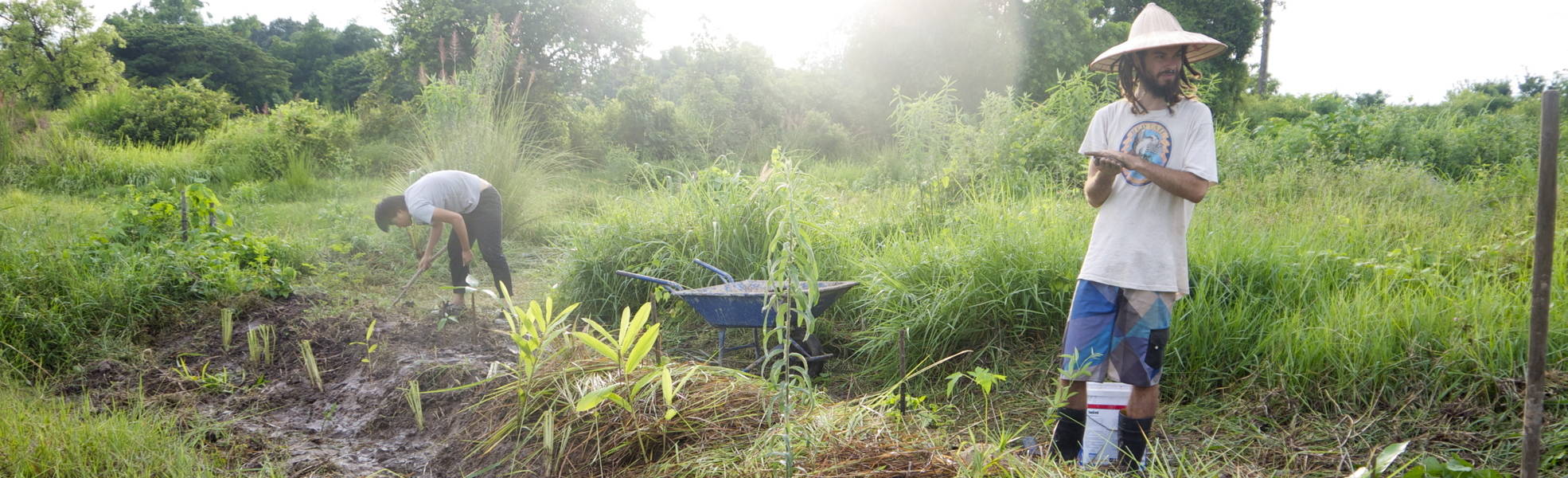 Freiwilligenarbeit Thailand