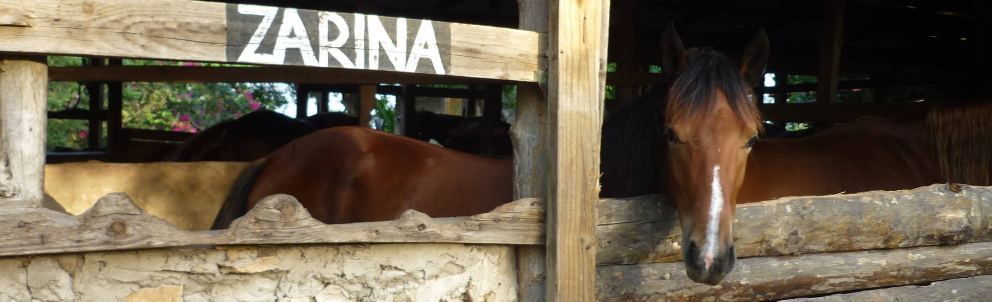 Freiwilligenarbeit Tansania