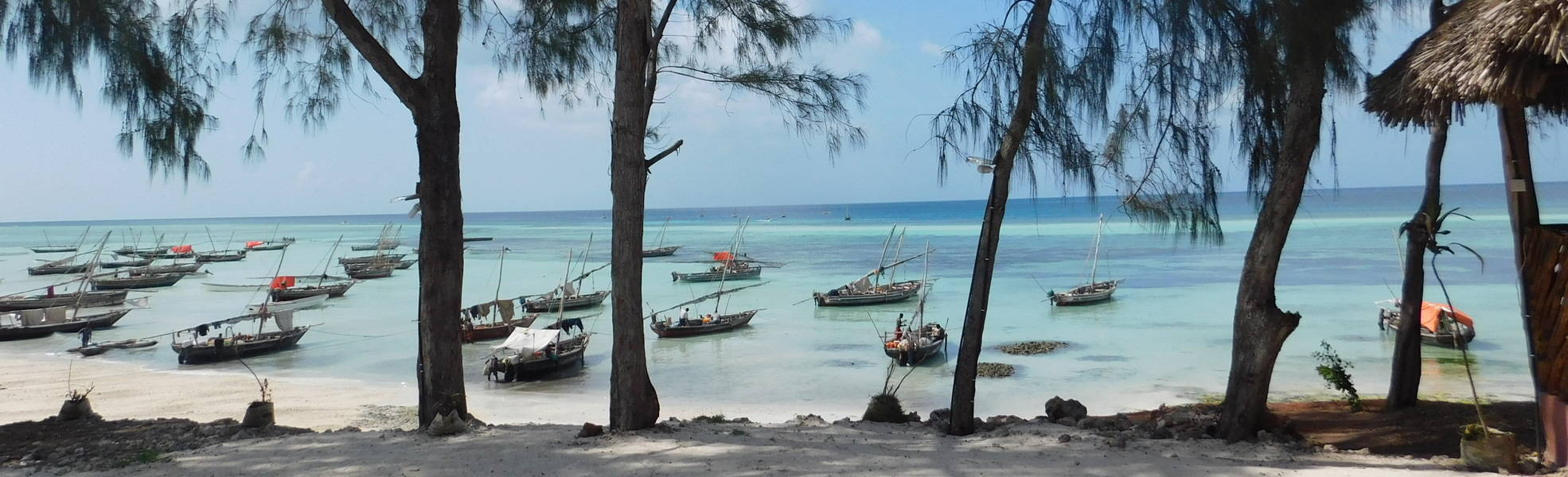 Freiwilligenarbeit Tansania