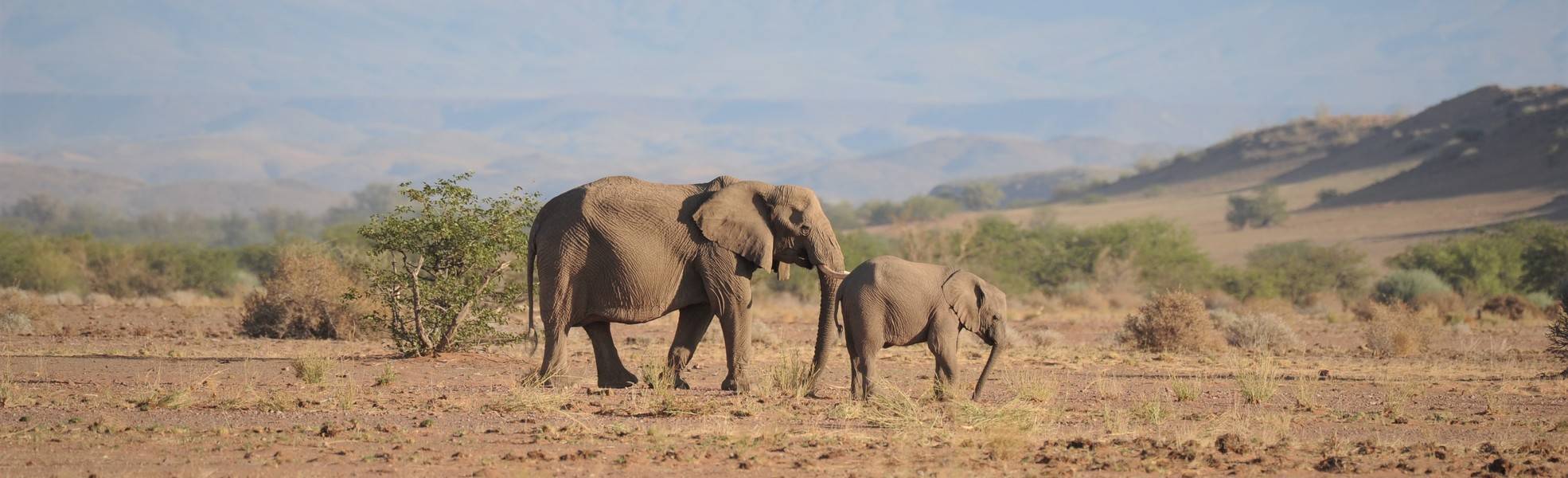 Freiwilligenarbeit Namibia