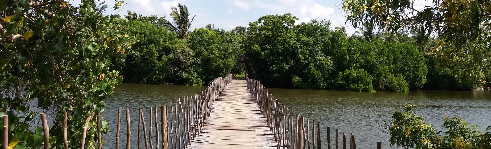 Freiwilligenarbeit Sri Lanka