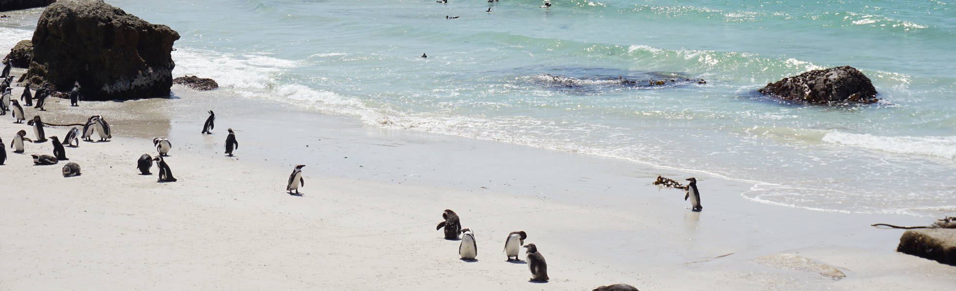 Freiwilligenarbeit Südafrika