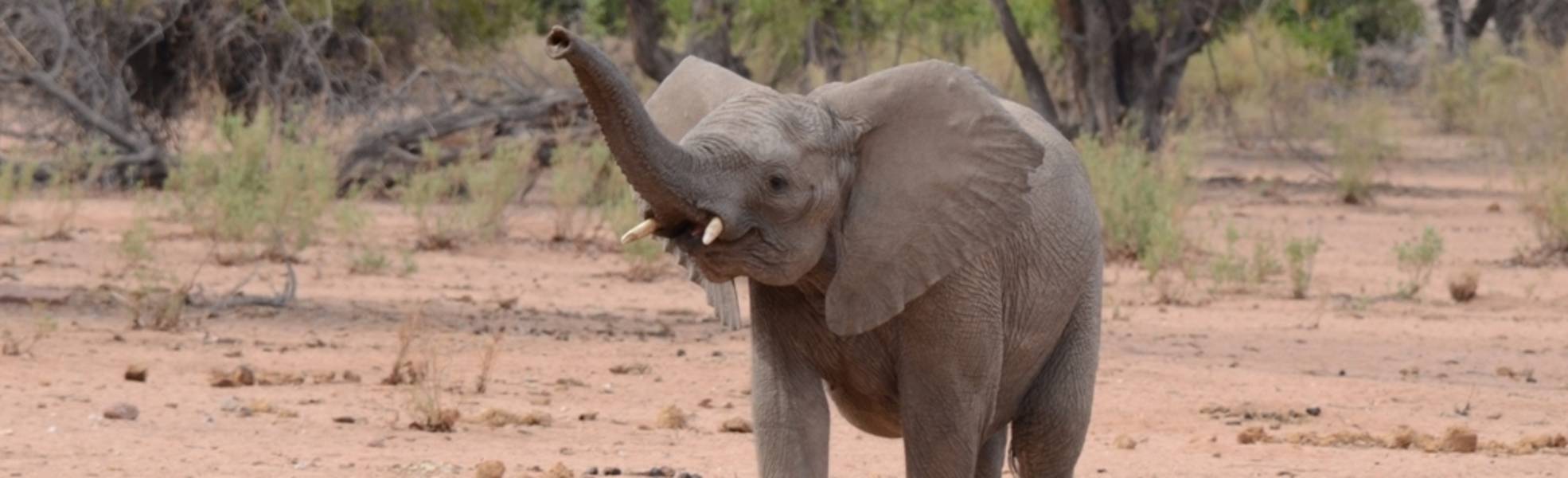 Freiwilligenarbeit Namibia