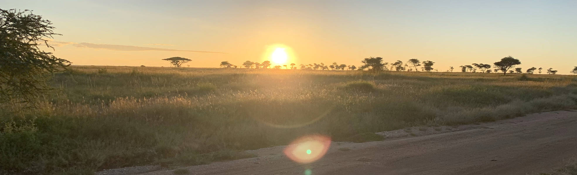 Freiwilligenarbeit Tansania