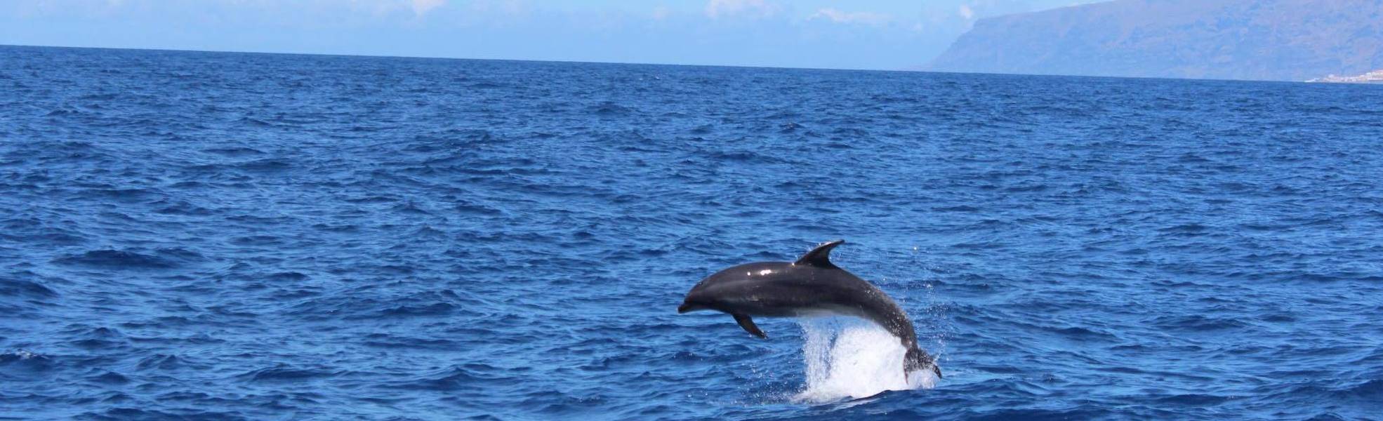 Freiwilligenarbeit Spanien