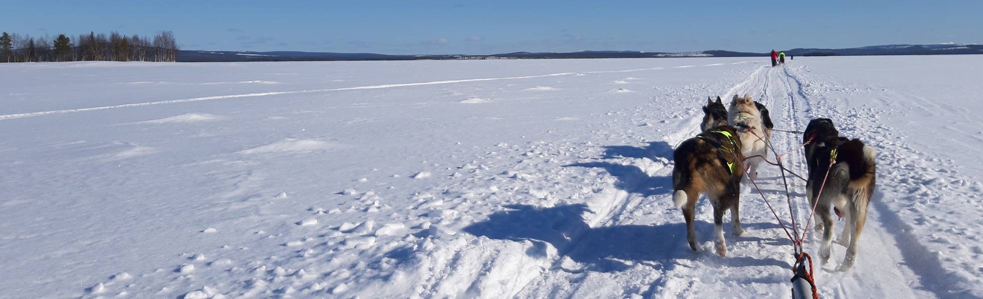 Freiwilligenarbeit Schweden