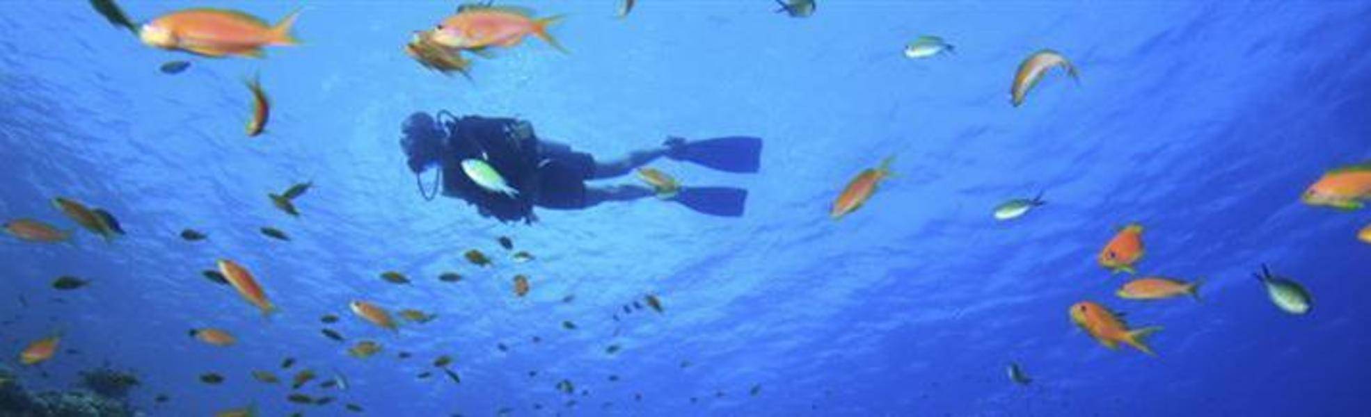 Freiwilligenarbeit Dominikanische Republik