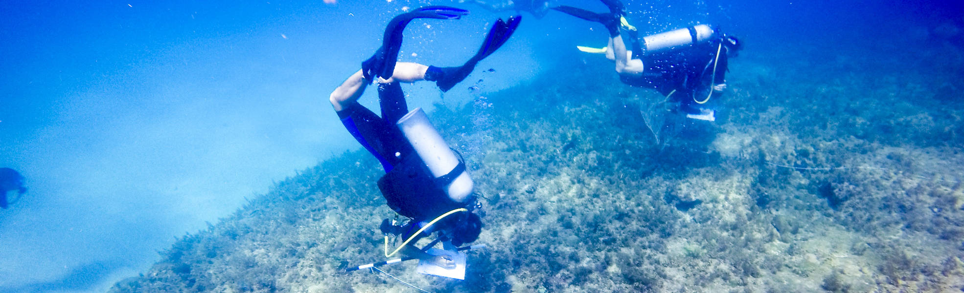 Freiwilligenarbeit Dominikanische Republik