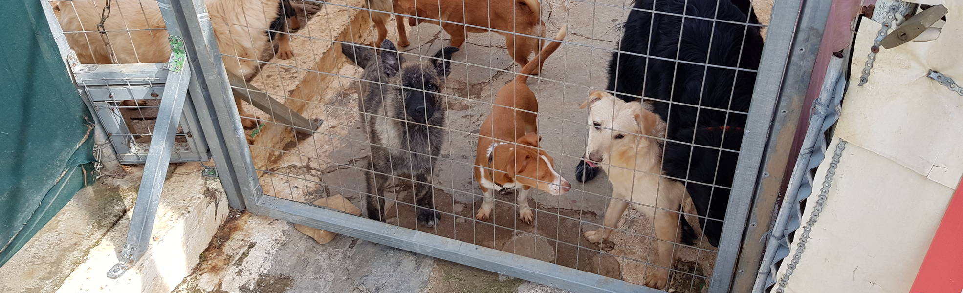 Freiwilligenarbeit Kreta