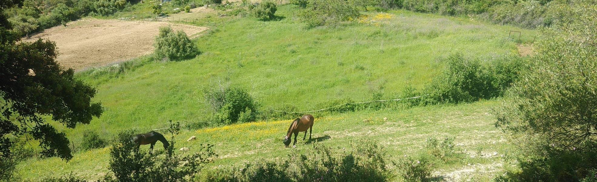 Freiwilligenarbeit Andalusien