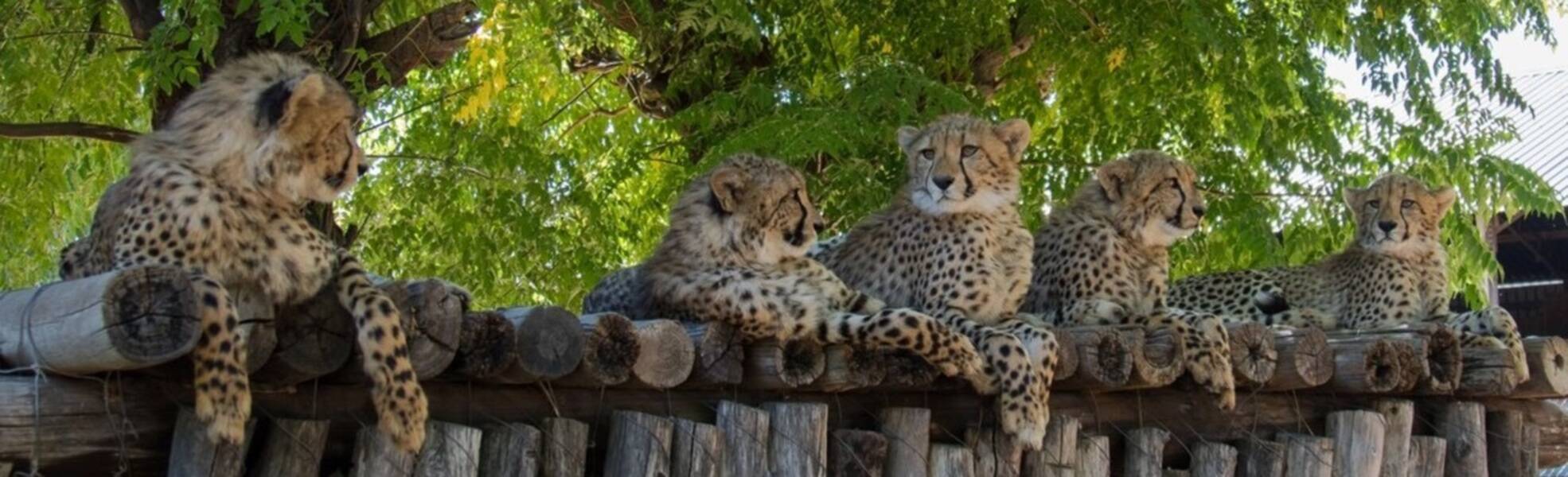 Freiwilligenarbeit Namibia