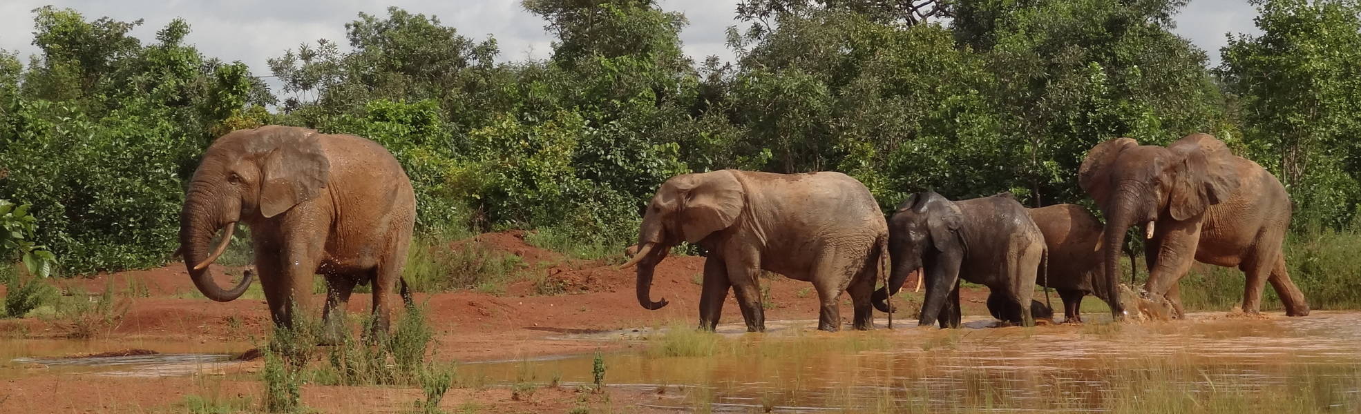 Freiwilligenarbeit Ghana