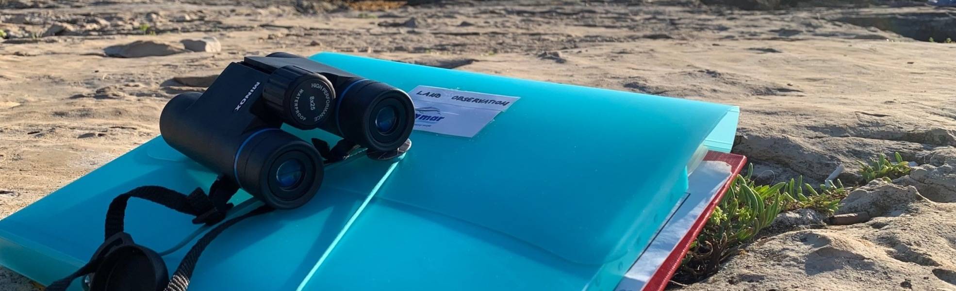 Delfinschutz Projekt Kroatien