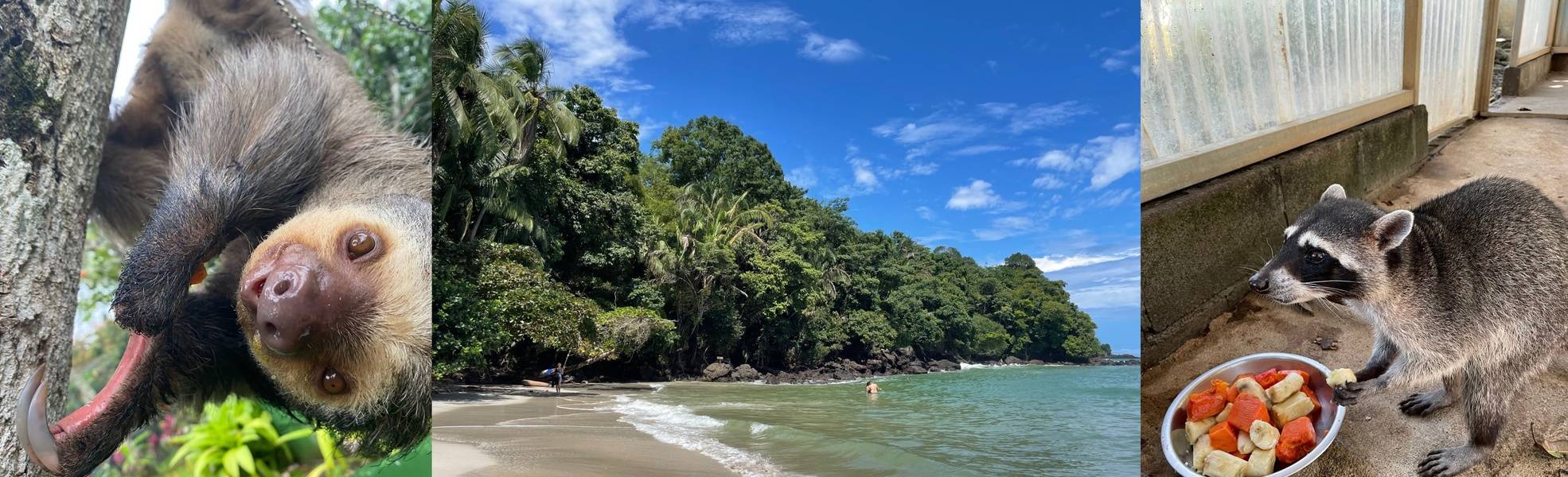 Freiwilligenarbeit Costa Rica 