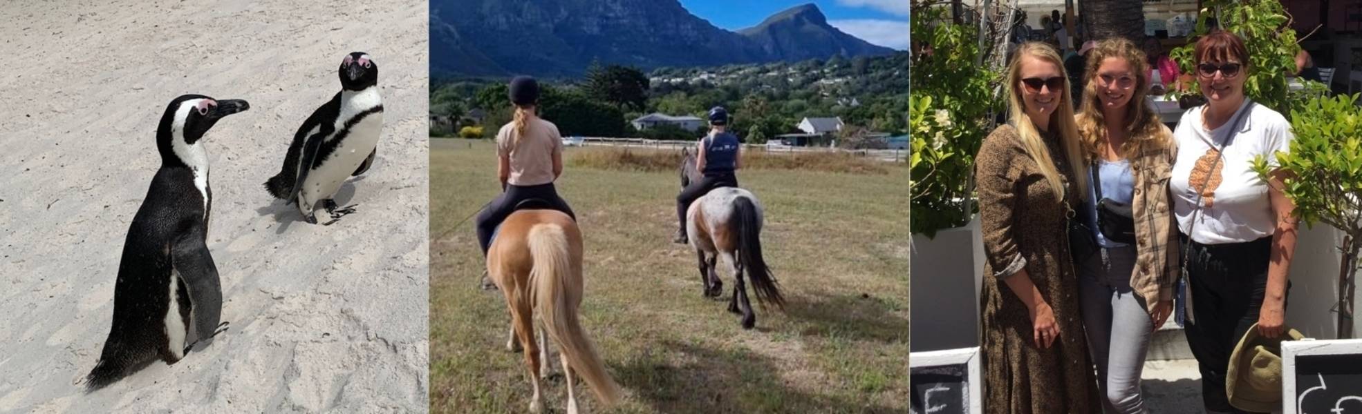 Header_Experience Report_Riding Therapy_South Africa