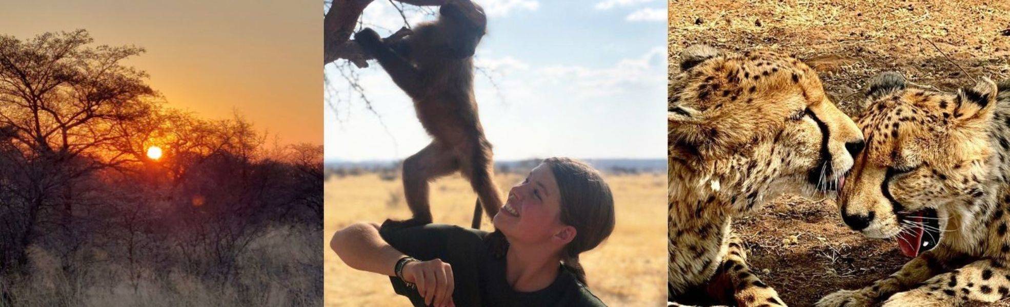 Header_Erfahrungsbericht_Wildtierschutz_Namibia
