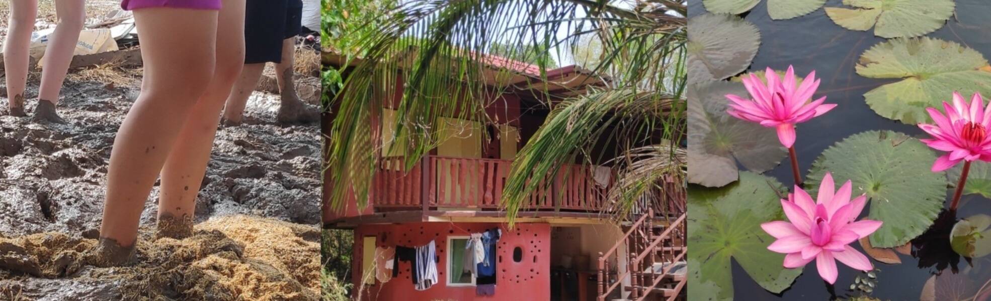 Erfahrungen aus dem Ashram in Thailand