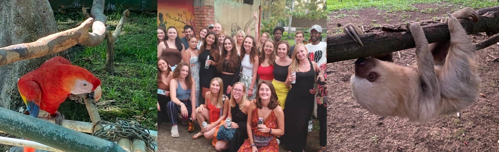 Erfahrungen aus der Tierauffangstation in Costa Rica