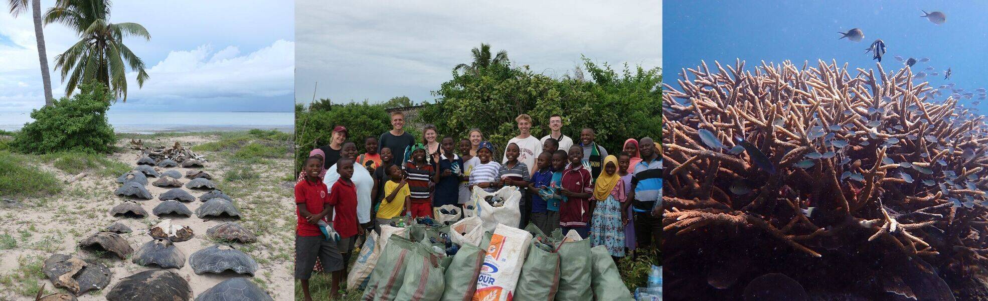 Meeresschildkrötenprojekt in Tansania