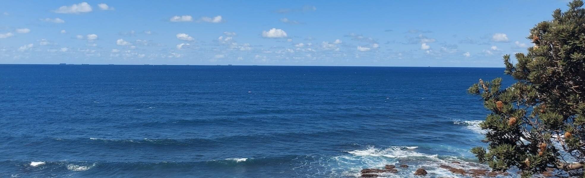 Volunteering in Australien Ostküste