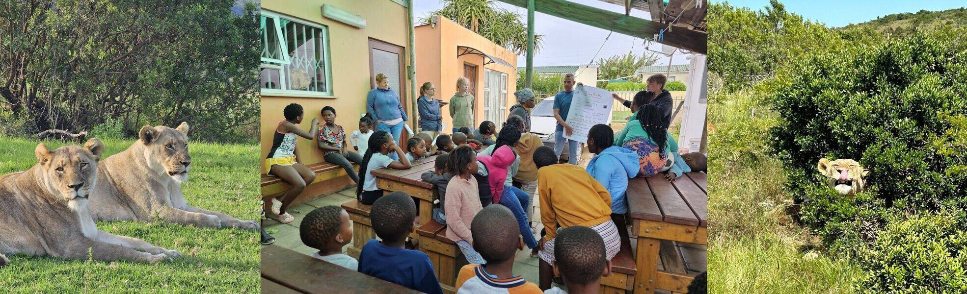 Freiwilligenarbeit im Wildtierreservat in Südafrika