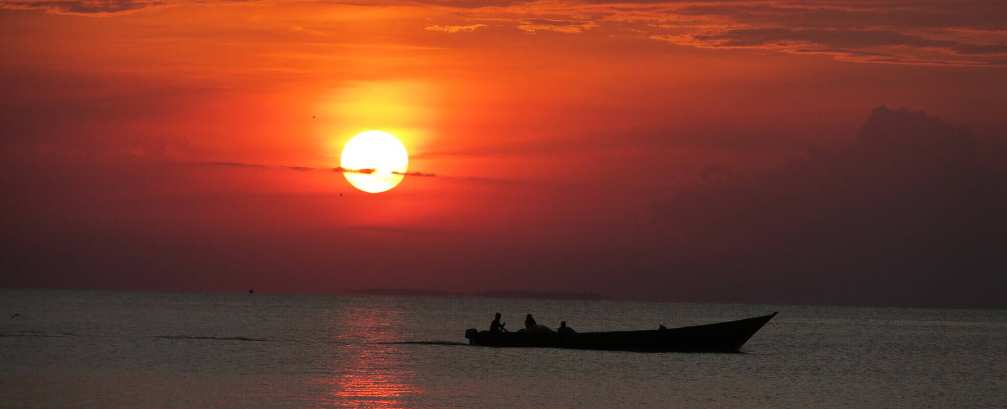 Volunteering Schimpansen Uganda