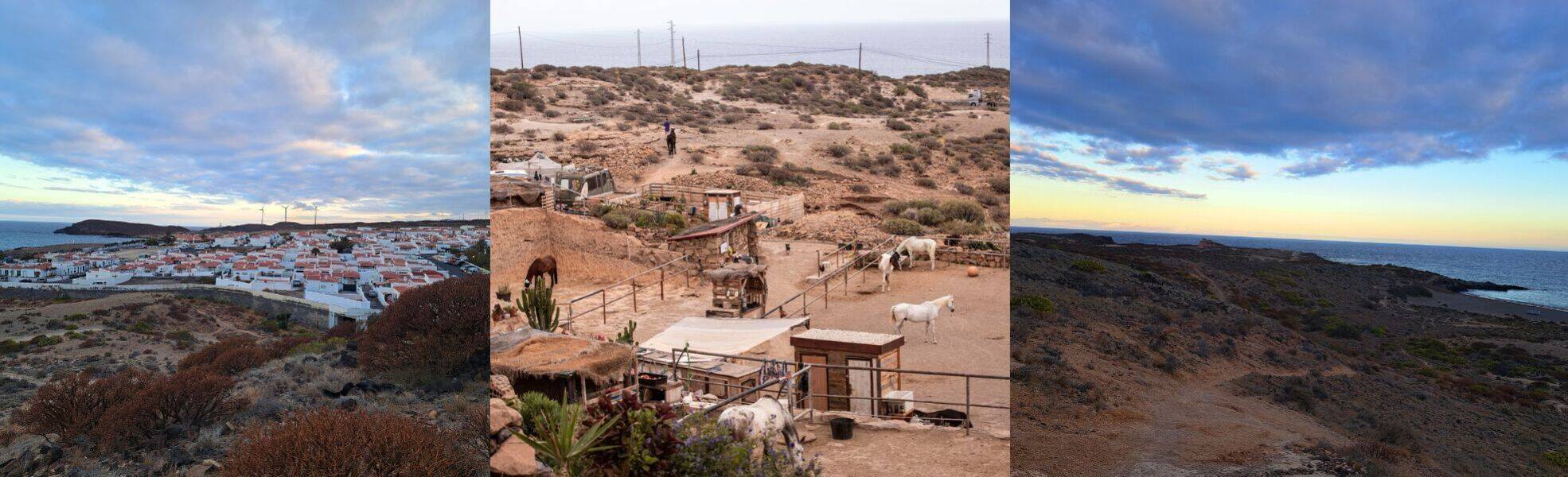 Tierschutz auf Teneriffa