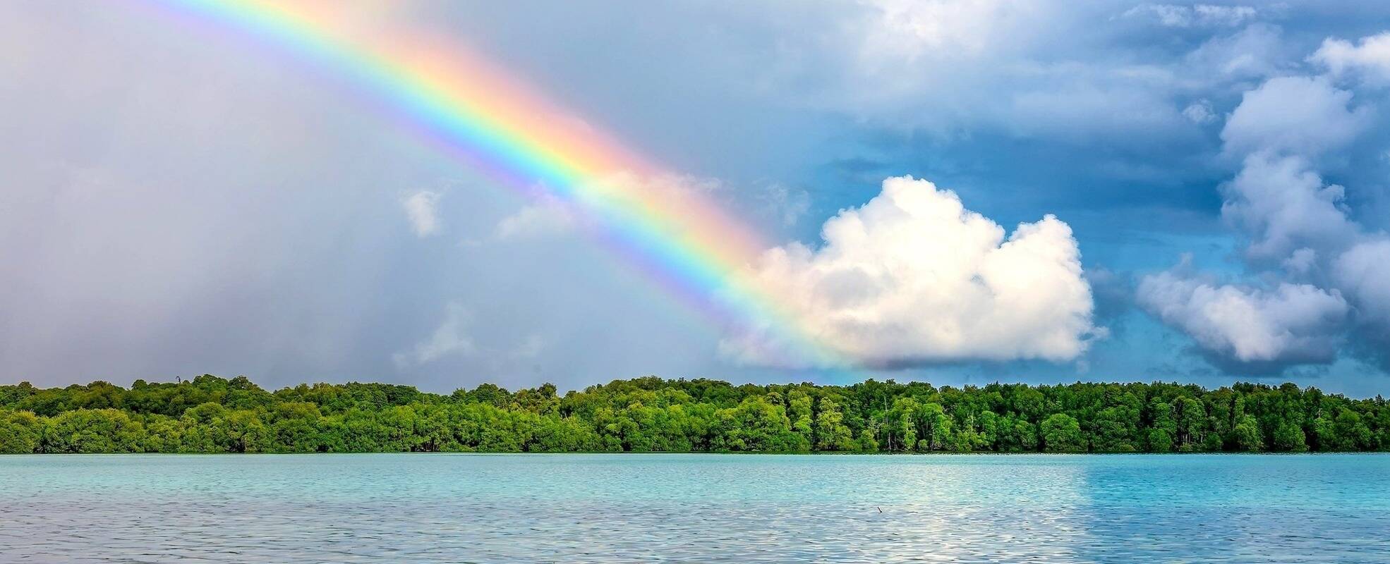 Freiwilligenarbeit als LGBTQ+-Person