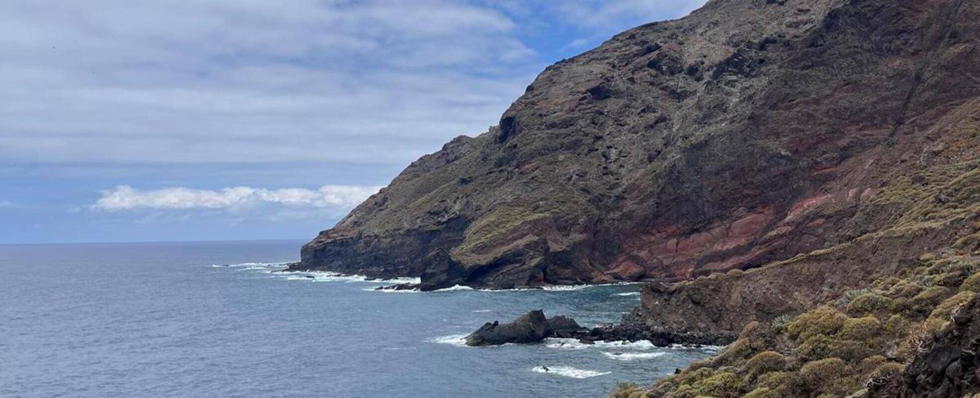 Freiwilligenarbeit auf Teneriffa