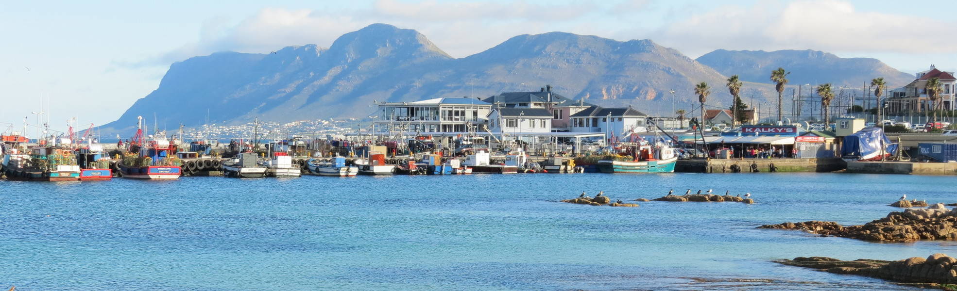 Praktikum Südafrika