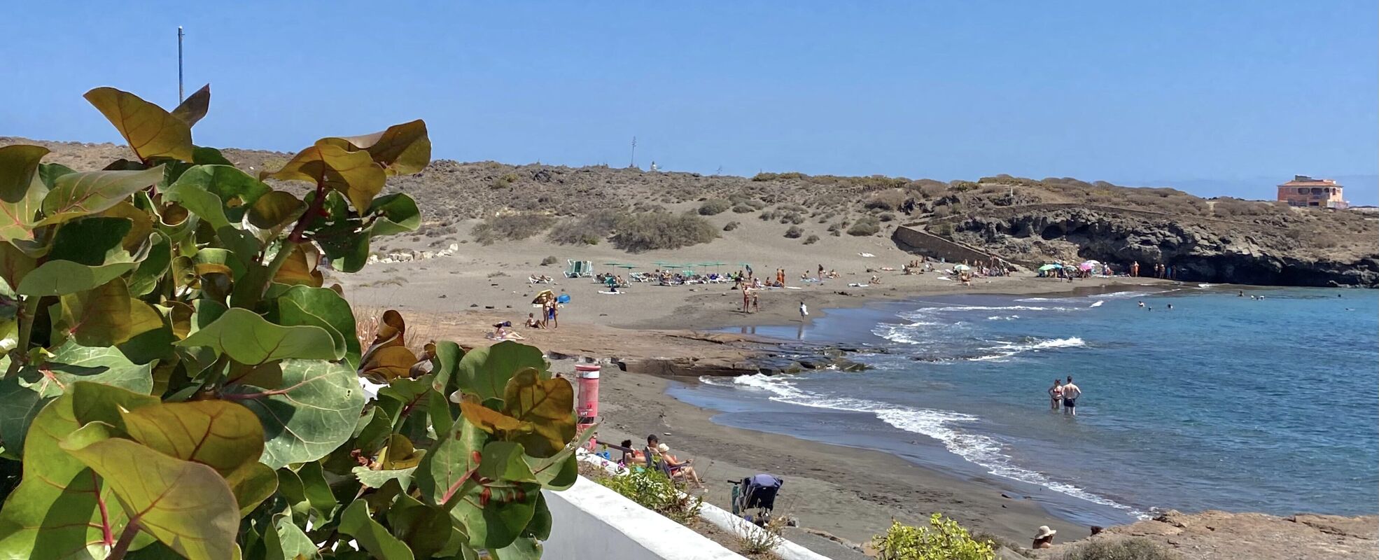 Strand beim Tierschutz-Projekt