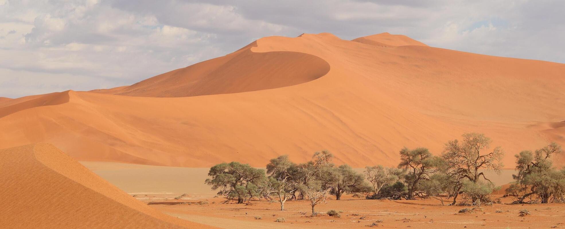 Erfahrungsbericht aus dem Elefanten-Projekt in Namibia