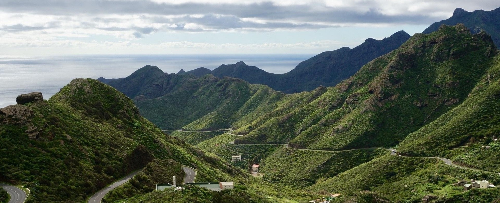 Volunteering beim Tierschutz-Projekt auf Teneriffa