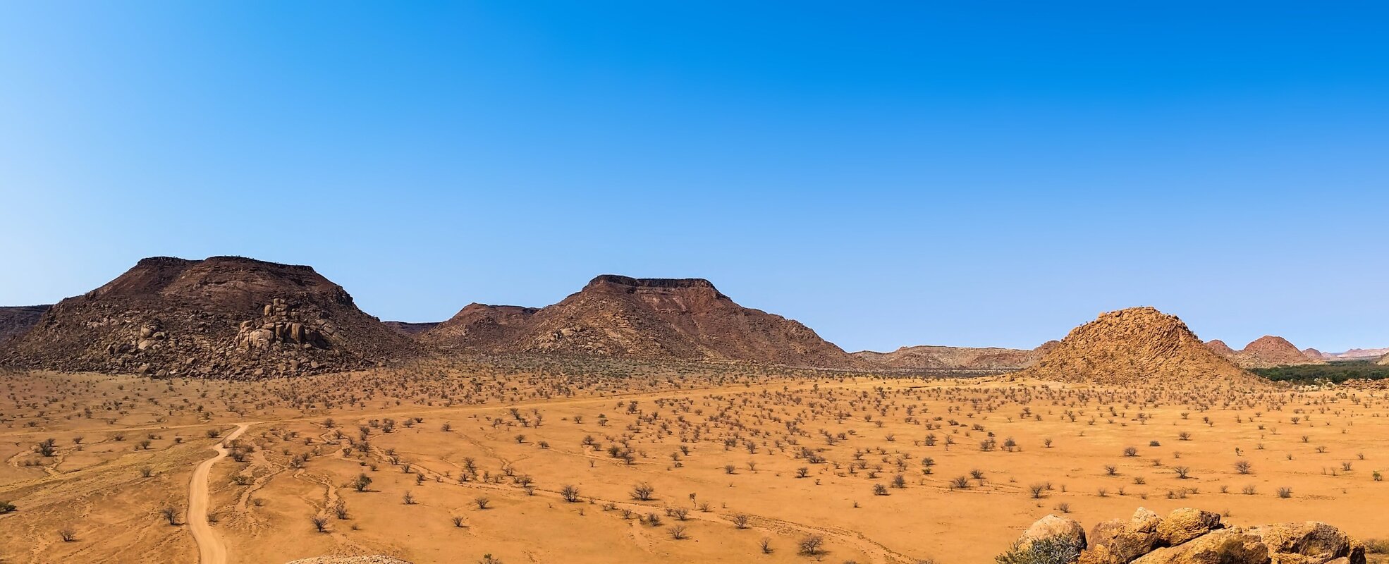 Erfahrungen im Tierschutz für afrikanische Wildtiere in Namibia